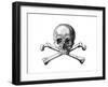 Skull and Crossbones-null-Framed Giclee Print