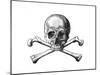 Skull and Crossbones-null-Mounted Giclee Print