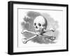 Skull and Crossbones-null-Framed Giclee Print
