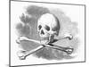 Skull and Crossbones-null-Mounted Giclee Print