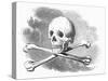 Skull and Crossbones-null-Stretched Canvas