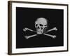 Skull and Crossbones-null-Framed Giclee Print