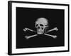 Skull and Crossbones-null-Framed Giclee Print