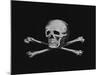 Skull and Crossbones-null-Mounted Giclee Print