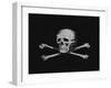 Skull and Crossbones-null-Framed Giclee Print