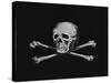 Skull and Crossbones-null-Stretched Canvas