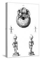 Skull and Foetus Skeletons-null-Stretched Canvas