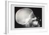 Skull and Hand-null-Framed Art Print