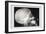 Skull and Hand-null-Framed Art Print