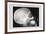 Skull and Hand-null-Framed Premium Giclee Print