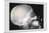 Skull and Hand-null-Mounted Premium Giclee Print