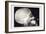 Skull and Hand-null-Framed Premium Giclee Print