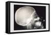 Skull and Hand-null-Framed Stretched Canvas