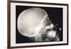 Skull and Hand-null-Framed Art Print