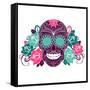 Skull And Roses, Colorful Day Of The Dead Card-Alisa Foytik-Framed Stretched Canvas