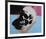 Skull, c.1976 (White on Blue and Pink)-Andy Warhol-Framed Giclee Print