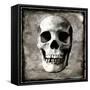 Skull I-Martin Wagner-Framed Stretched Canvas