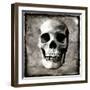 Skull I-Martin Wagner-Framed Art Print