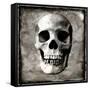 Skull I-Martin Wagner-Framed Stretched Canvas