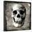 Skull I-Martin Wagner-Stretched Canvas