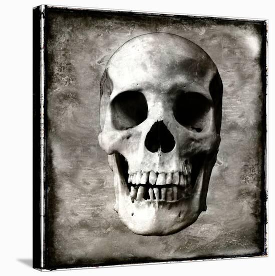 Skull I-Martin Wagner-Stretched Canvas