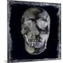 Skull II-Martin Wagner-Mounted Art Print