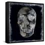 Skull II-Martin Wagner-Framed Stretched Canvas