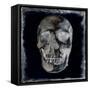 Skull II-Martin Wagner-Framed Stretched Canvas