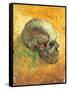 Skull in Profile, 1887-Vincent van Gogh-Framed Stretched Canvas