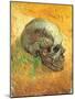 Skull in Profile, 1887-Vincent van Gogh-Mounted Premium Giclee Print