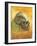 Skull in Profile, 1887-Vincent van Gogh-Framed Giclee Print