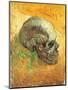 Skull in Profile, 1887-Vincent van Gogh-Mounted Premium Giclee Print