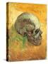 Skull in Profile, 1887-Vincent van Gogh-Stretched Canvas