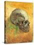 Skull in Profile, 1887-Vincent van Gogh-Stretched Canvas