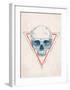 Skull in Triangle No. 2-Balazs Solti-Framed Art Print