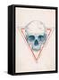 Skull in Triangle No. 2-Balazs Solti-Framed Stretched Canvas