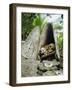 Skull Island, Village Stores Skulls of Chiefs and Enemies, Roviana Lagoon, Soloman Islands-Louise Murray-Framed Photographic Print