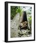 Skull Island, Village Stores Skulls of Chiefs and Enemies, Roviana Lagoon, Soloman Islands-Louise Murray-Framed Photographic Print