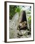 Skull Island, Village Stores Skulls of Chiefs and Enemies, Roviana Lagoon, Soloman Islands-Louise Murray-Framed Photographic Print