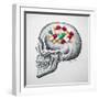 Skull Medicines-Ben Heine-Framed Giclee Print