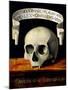 Skull of a Man - Memento Mori-Andrea Previtali-Mounted Giclee Print