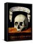 Skull of a Man - Memento Mori-Andrea Previtali-Framed Stretched Canvas