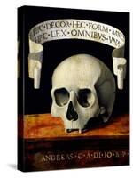 Skull of a Man - Memento Mori-Andrea Previtali-Stretched Canvas
