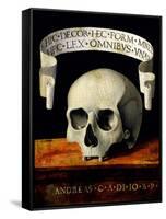 Skull of a Man - Memento Mori-Andrea Previtali-Framed Stretched Canvas