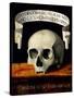 Skull of a Man - Memento Mori-Andrea Previtali-Stretched Canvas