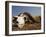 Skull of Cape Buffalo, Kruger National Park, South Africa, Africa-Paul Allen-Framed Photographic Print