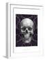 Skull on Damask-Ethan Harper-Framed Art Print