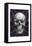 Skull on Damask-Ethan Harper-Framed Stretched Canvas