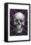 Skull on Damask-Ethan Harper-Framed Stretched Canvas