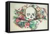 Skull on Drapery, C.1902-06-Paul C?zanne-Framed Stretched Canvas